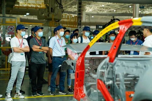 探訪完肇慶工廠，小鵬和特斯拉、蔚來(lái)、理想的車主怎么看P7？——申夢(mèng)汽車視角